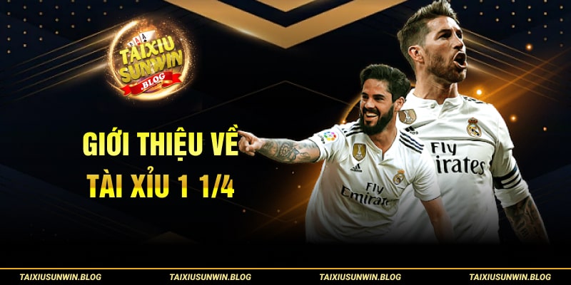 Kèo tài xỉu 1 1/4 là gì? Hướng dẫn cách đọc và tính kèo 1.25 1 Giới thiệu về tài xỉu 1 1/4