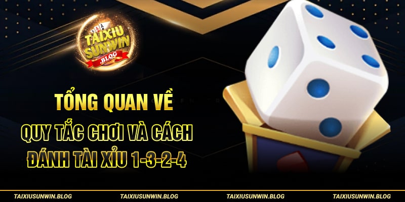 Tổng quan về quy tắc chơi và cách đánh tài xỉu 1-3-2-4